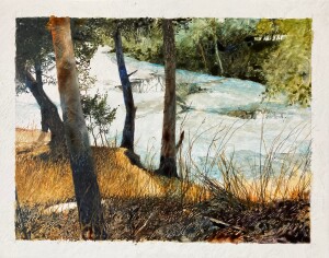 Creek at Highland Bridge '25
