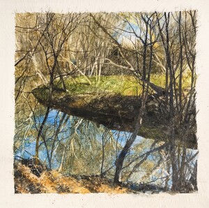 Creek in Charlotte '25 